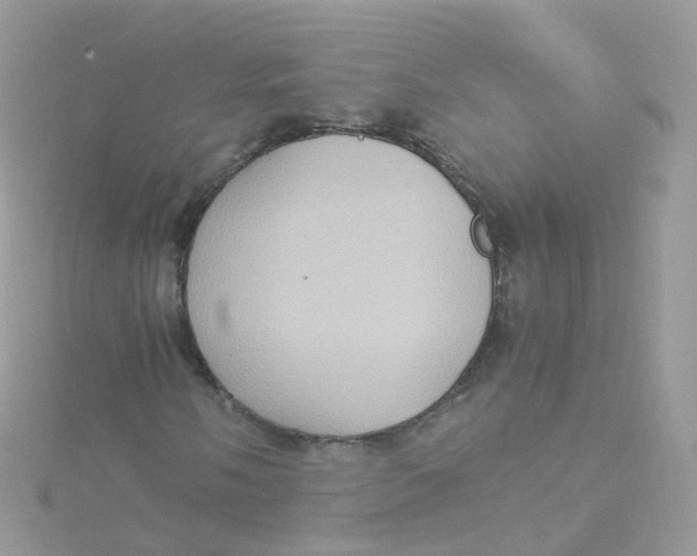 X0000115511058200911271426