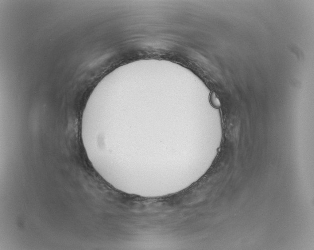 X0000115511061200911271426