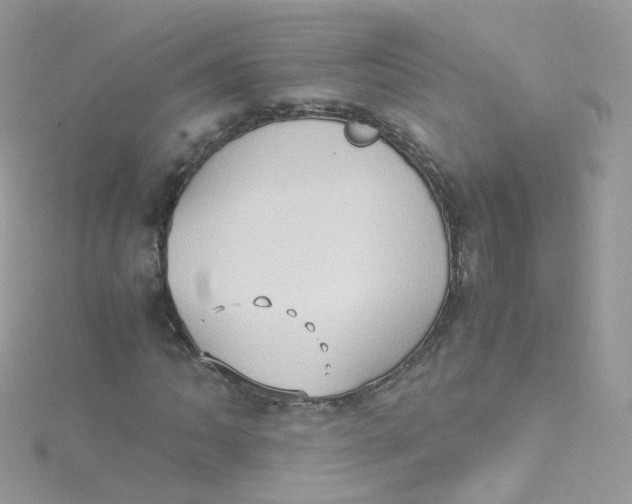 X0000115511062200911271426