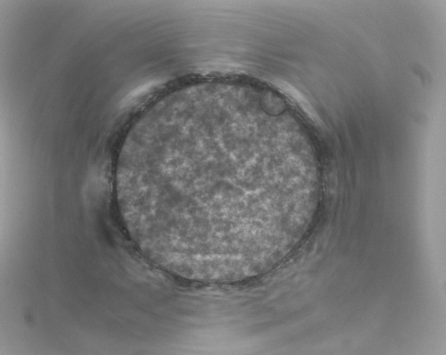 X0000115511063200911271426