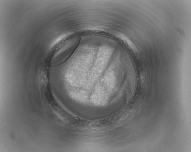 X0000115511064200911271426