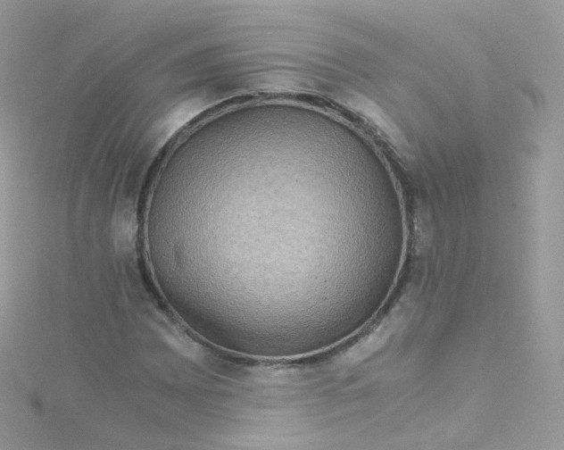 X0000115511065200911271426