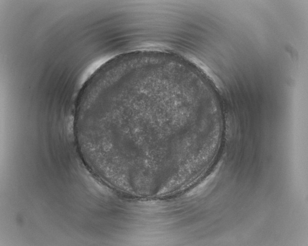 X0000115511066200911271426