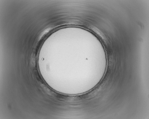 X0000115511067200911271426