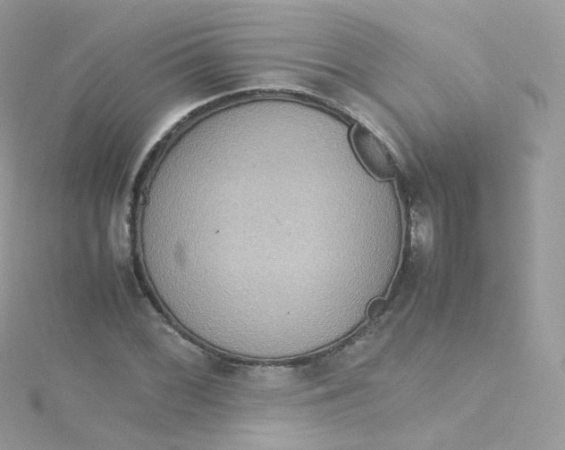 X0000115511068200911271426