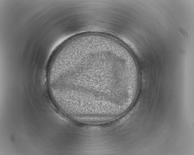 X0000115511070200911271426