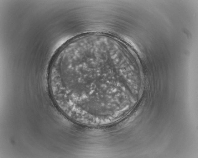 X0000115511071200911271426