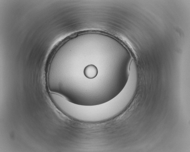 X0000115511072200911271426