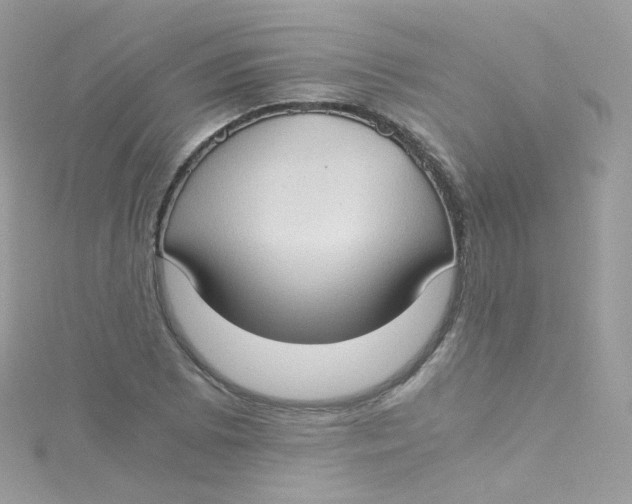 X0000115511073200911271426