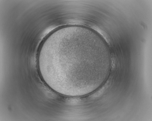 X0000115511074200911271426