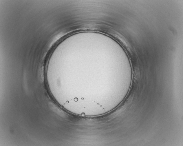 X0000115511075200911271426