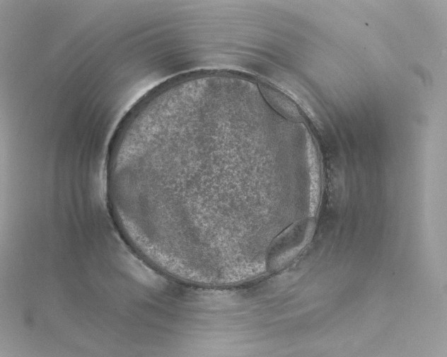 X0000115511076200911271426