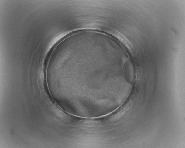 X0000115511077200911271426