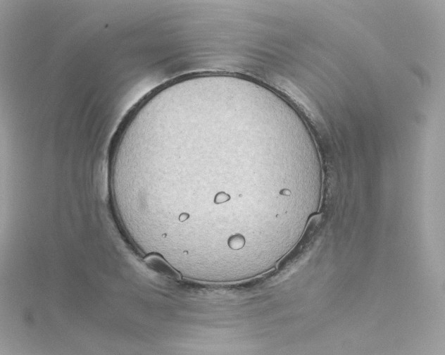 X0000115511079200911271426