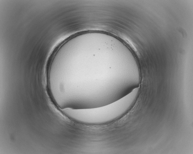 X0000115511080200911271426