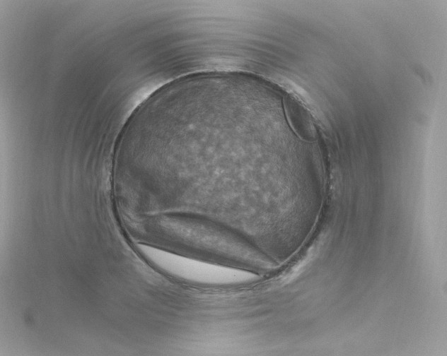 X0000115511081200911271426