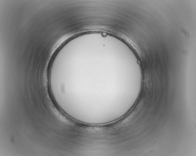 X0000115511082200911271426