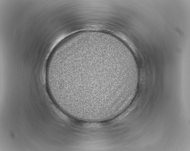 X0000115511083200911271426