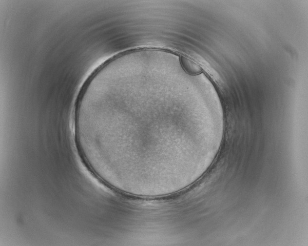 X0000115511084200911271426