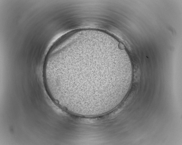 X0000115511086200911271426