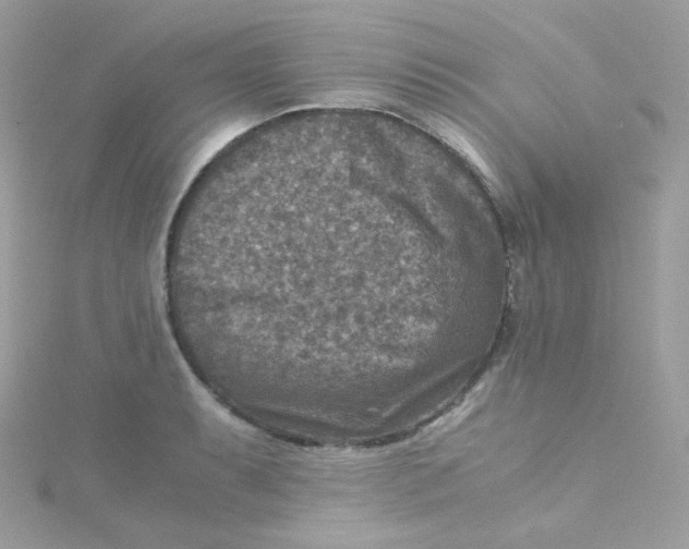 X0000115511087200911271426