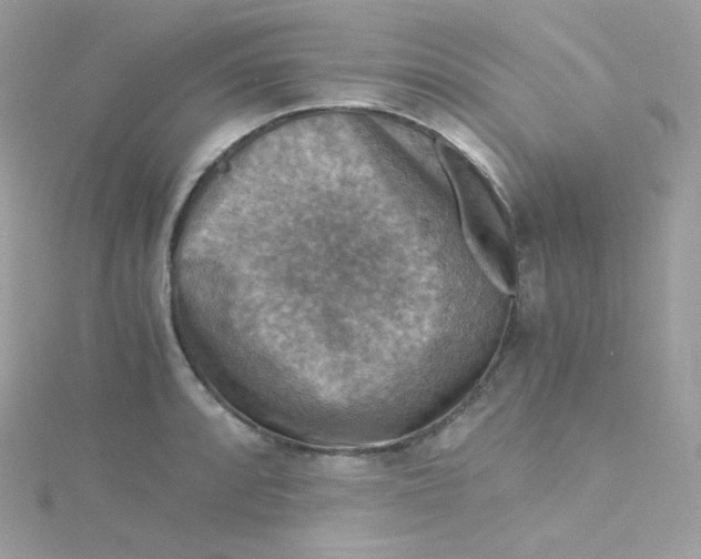 X0000115511088200911271426