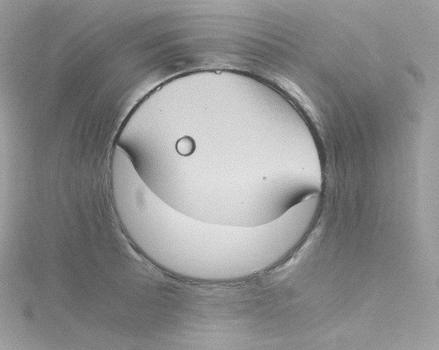 X0000115511089200911271426