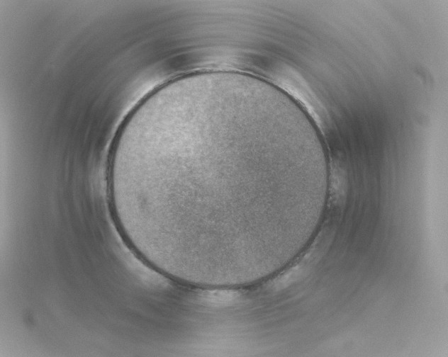 X0000115511090200911271426