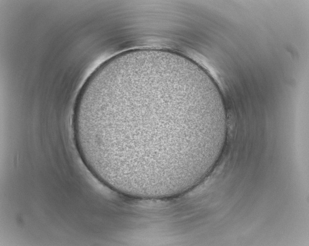 X0000115511091200911271426