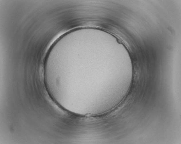 X0000115511092200911271426