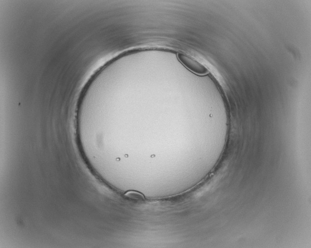 X0000115511093200911271426