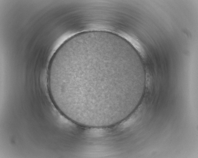 X0000115511094200911271426