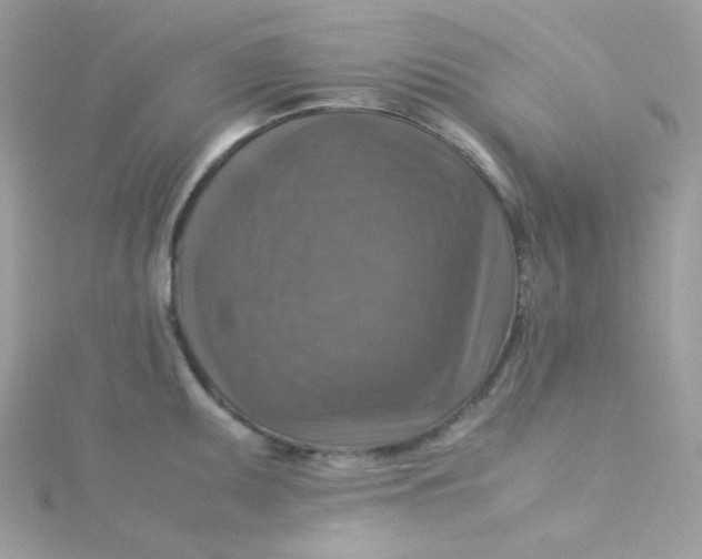 X0000115511095200911271426