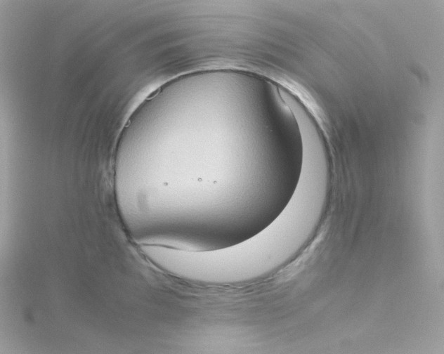 X0000115511097200911271426