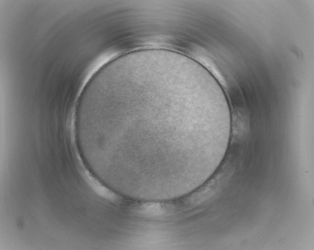 X0000115511098200911271426