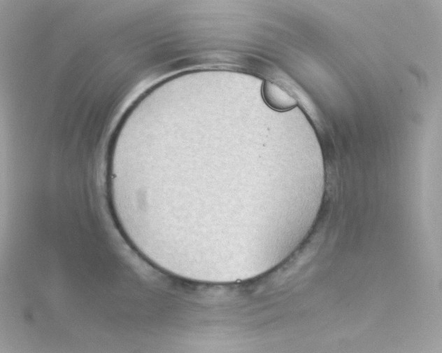 X0000115511099200911271425