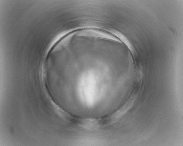 X0000115511101200911271425