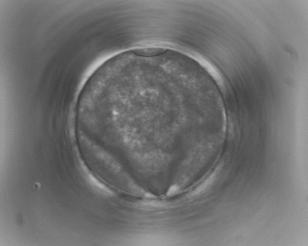 X0000115511102200911271425