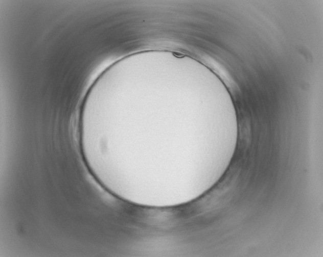 X0000115511103200911271425