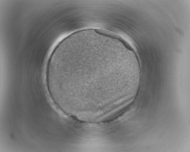 X0000115511104200911271425