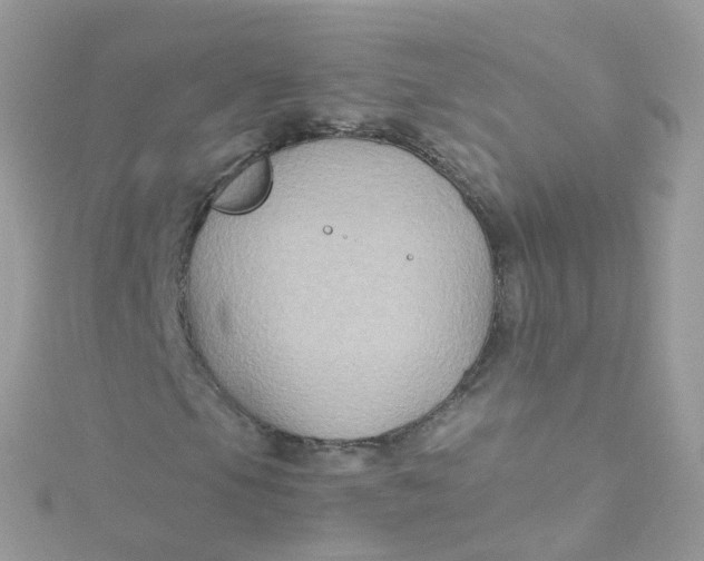 X0000115511105200911271425