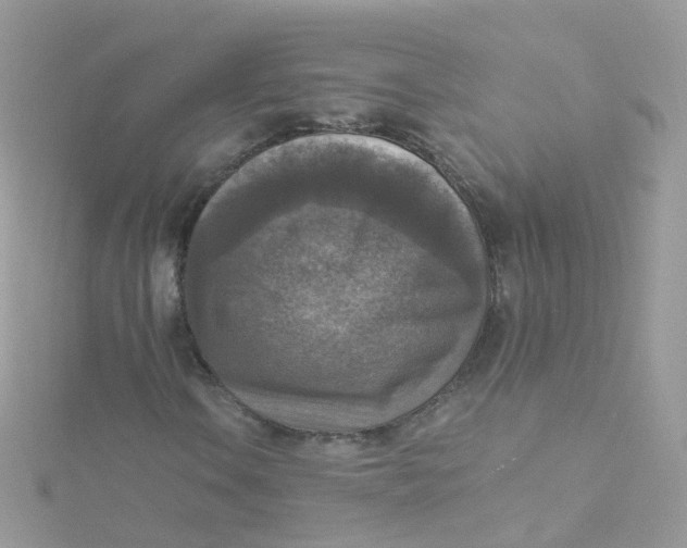 X0000115511106200911271425