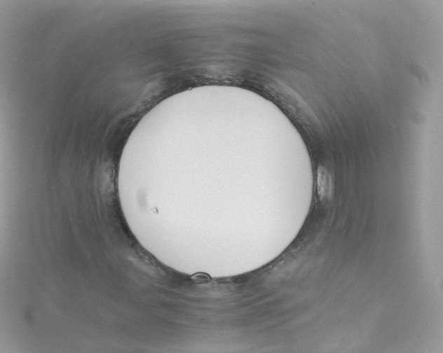 X0000115511107200911271425