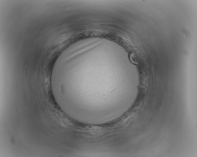 X0000115511109200911271425