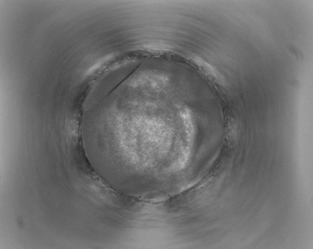 X0000115511110200911271425