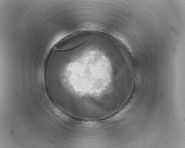 X0000115511114200911271425