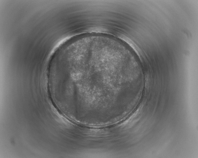 X0000115511115200911271425