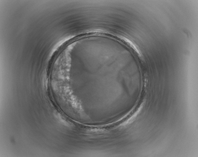 X0000115511117200911271425