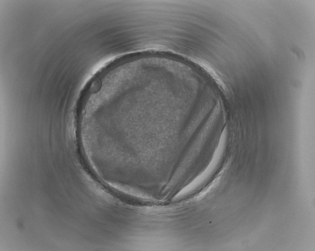 X0000115511118200911271425