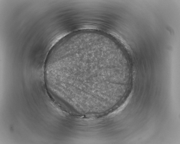 X0000115511121200911271425